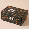 Printed Mailer Box and Paper Bag Set